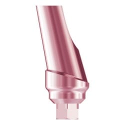 TN Contour Abutment, Angled, TRI®-Frict., 17°, 1mm